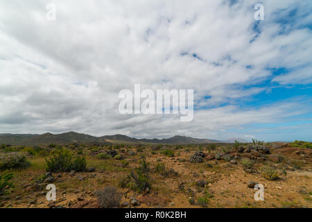 Paesaggio del deserto di Atacama, Cile settentrionale Foto Stock