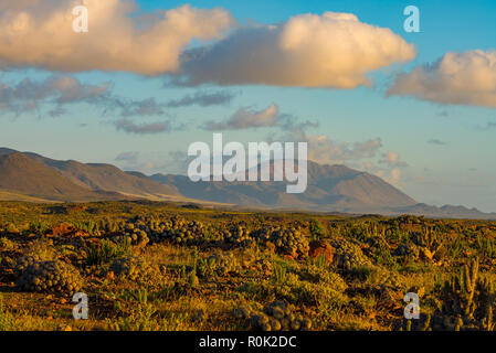 Paesaggio del deserto di Atacama, Cile settentrionale Foto Stock