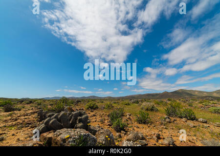 Paesaggio del deserto di Atacama, Cile settentrionale Foto Stock