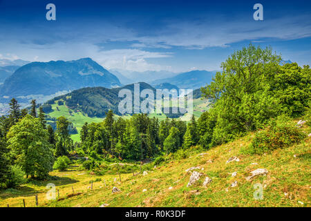 Alpi svizzere vicino a Burgenstock con la vista del Vierwaldstattersee e Monte Pilatus, Svizzera, Europa Foto Stock