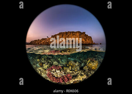 Una bellissima barriera corallina si trova appena sotto la superficie dell'acqua in prossimità di una montagna nel deserto. Foto Stock