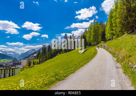 Strada in campo verde delle montagne delle Alpi, Davos, dei Grigioni, Svizzera Foto Stock