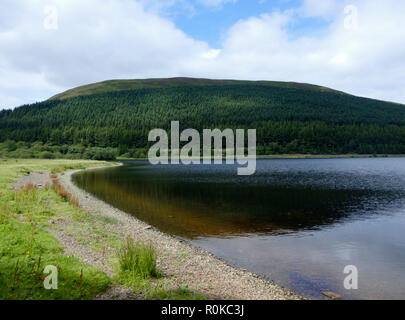 Loch del Lowes & Oxcleuch Rig Hill e il lungo banco Plantation, Southern Upland Hills, Superiore Yarrow Valley, Confini contea, Scozia, Regno Unito nel mese di agosto Foto Stock