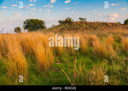 Affacciato su Pretoria dal Klapperkop fort, Pretoria, Sud Africa Foto Stock