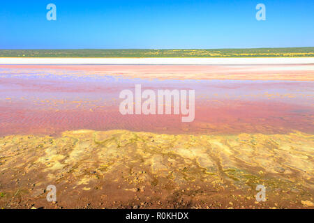 Lago Rosa in porto Gregorio Road a Gregorio in Western Australia. La Laguna Hutt è un colore rosa per la presenza di Dunaliella alghe. Attracti popolari Foto Stock