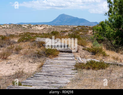 Strada fatta di registri. Passerella in legno sulla sabbia che conduce al mountins. Nessuno. Foto Stock