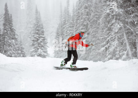 Snowboarder in fuoripista pendenza nella foresta. Stazione sciistica Foto Stock