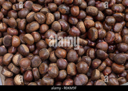La tostatura le castagne, visto da vicino Foto Stock