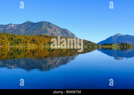 Penisola Zwergern in autunno al Lago Walchensee, dietro le montagne Herzogstand e Jochberg, Alta Baviera, Baviera, Germania Foto Stock