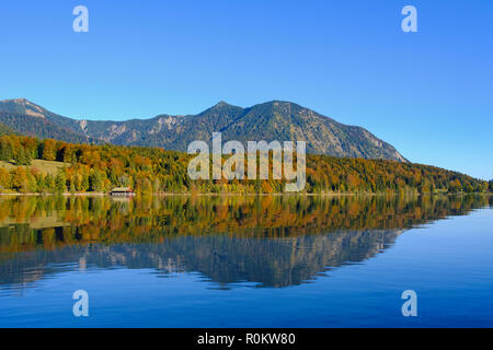 Banche vicino Einsiedl in autunno, dietro le montagne e Heimgarten Herzogstand, Lago Walchensee, Alta Baviera, Baviera, Germania Foto Stock
