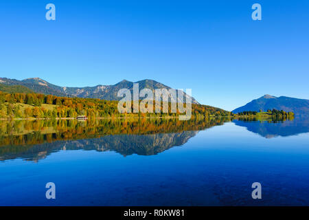 Penisola Zwergern, Walchensee, dietro Heimgarten e Herzogstand, Walchensee, Alta Baviera, Baviera, Germania Foto Stock