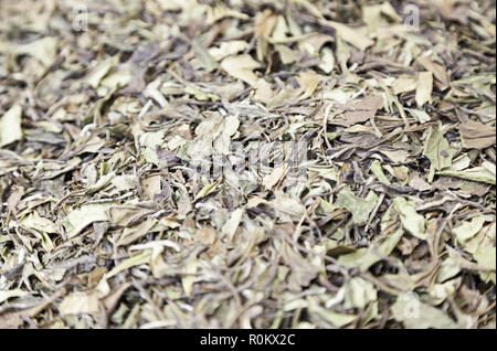Infusione erbe, dettaglio di erbe essiccate, tè e tradizione orientata, mercato tradizionale Foto Stock