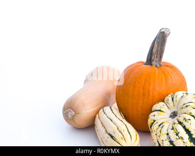 Una bella cascata o ringraziamento sfondo con diverse varietà di squash tra cui butternut, gnocco dolce e delicata e un arancione zucca Foto Stock