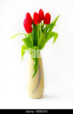 Bella rossa di tulipani in vaso su sfondo bianco Foto Stock