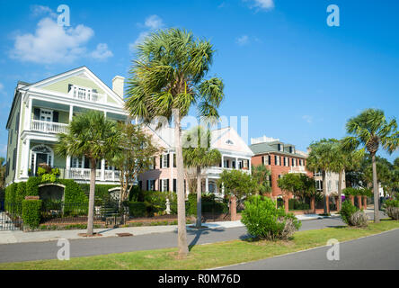 Luminose scenic vista la mattina dello storico quartiere di batteria con palmetto palme in Charleston, Carolina del Sud, STATI UNITI D'AMERICA Foto Stock