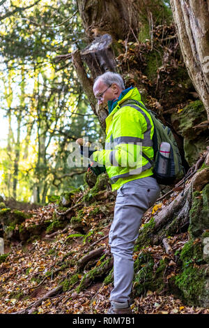 Struttura professionale ispettore Steve Maros ispeziona regolarmente gli alberi al visitatore Puzzlewood attrazione, Foresta di Dean per garantire la pubblica sicurezza Foto Stock