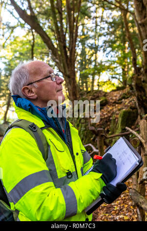 Struttura professionale ispettore Steve Maros ispeziona regolarmente gli alberi al visitatore Puzzlewood attrazione, Foresta di Dean per garantire la pubblica sicurezza Foto Stock