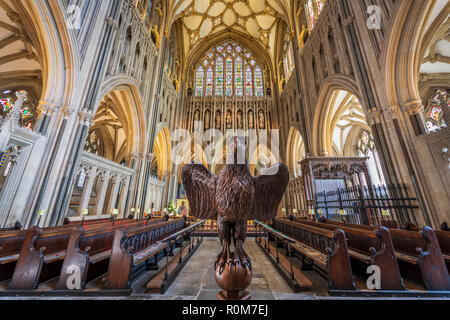 Gli ornati in legno intagliato Eagle Leggio a Cattedrale di Wells nel Somerset. Foto Stock