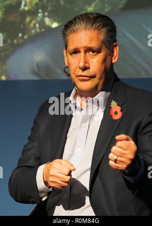 Excel, London, Regno Unito. 5 novembre 2018. Johan Lundgren CEO di easyJet parlando al World Travel Market in Excel, Londra oggi (Mon) Credito: Finnbarr Webster/Alamy Live News Foto Stock