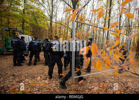 06 novembre 2018, Assia, Mörfelden-Walldorf: lavoratori portano le barriere del passato cop. La polizia sgombera il campo della foresta squatter in Trebur Oberwald. Il camp, che è esistito sin dall'inizio dell'anno, protesta contro una possibile eliminazione della foresta. Un raccordo autostradale per il previsto nuovo Terminal a Francoforte/aeroporto principale è quella di essere costruito lì. Foto: Andreas Arnold/dpa Foto Stock