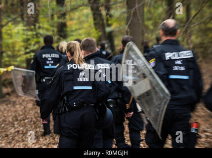 06 novembre 2018, Assia, Mörfelden-Walldorf: un gruppo di poliziotti di marzo nella foresta. La polizia sgombera il campo della foresta squatter in Trebur Oberwald. Il camp, che è esistito sin dall'inizio dell'anno, protesta contro una possibile eliminazione della foresta. Un raccordo autostradale per il previsto nuovo Terminal a Francoforte/aeroporto principale è quella di essere costruito lì. Foto: Andreas Arnold/dpa Foto Stock