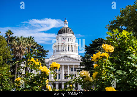 California State Capitol Building, Sacramento, California; giornata soleggiata; bellissime rose giallo in primo piano Foto Stock