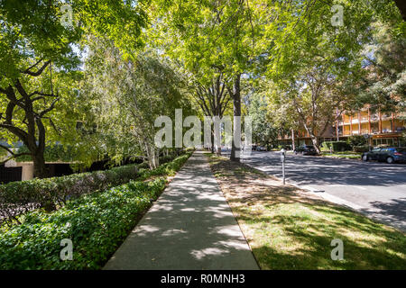 Street nel centro di Sacramento passando attraverso un quartiere con sia residenziale e di uffici, vicino al downtown area; California Foto Stock