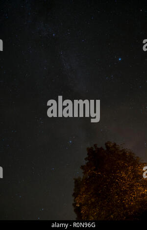 Cielo notturno su Fischland in Germania con la Via Lattea Foto Stock