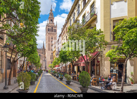 Caffè in calle Mateos Gago guardando verso la torre Giralda e la Cattedrale di Siviglia, in Andalusia, Spagna Foto Stock