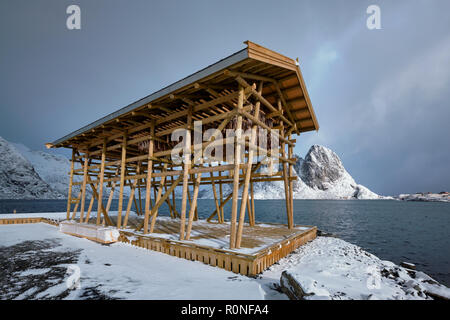 Fiocchi di essiccazione per stoccafisso baccalà in inverno. Isole Lofoten, Foto Stock