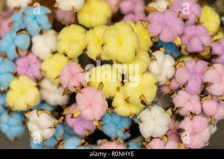 Gossypium, colorati in colori pastello, naturale dolce sottofondo, texture. Lay piatto multicolore di sfere colorate Foto Stock