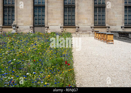 Selvaggio fiore giardino del museo del Louvre a Parigi, con alveari accanto ad esso. Estate 2018 Foto Stock