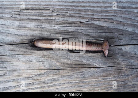 Vecchio chiodo arrugginito pilotato in legno stagionato di rifugio alpino Foto Stock