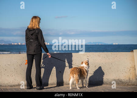 Un dietro la vista di una donna bionda in una giacca nera con una bionda Border Collie mix al guinzaglio cerca su una parete del mare del Mediterraneo e una blu s Foto Stock