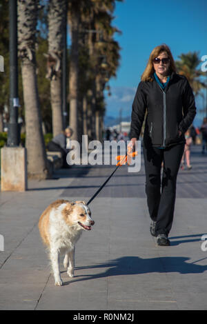 Focus su una bionda Border Collie mix passeggiate al guinzaglio verso la telecamera su un lungomare con palme e il suo proprietario in soft focus dietro di esso tenendo Foto Stock