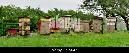 Alveari in campo al Hancock Shaker Village Museum vicino a Pittsfield MA, Stati Uniti d'America Foto Stock