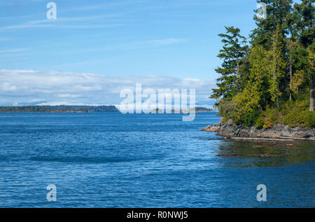 Rurali paesaggio costiero, Port Hardy, Isola di Vancouver, British Columbia, Canada Foto Stock