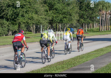 Gruppo di coloratissimi ciclisti in fila su una strada nel sud-ovest della Florida, Stati Uniti Foto Stock