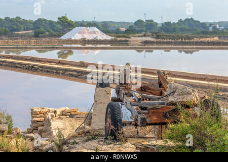 Colonia de Sant Jordi, Salinas de S'Avall, Maiorca, isole Baleari, Spagna, Europa Foto Stock