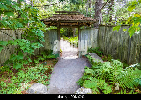 Azalea Asticou giardino nella zona nord-est di Porto sull'isola di Mount Desert nel Maine, Stati Uniti Foto Stock