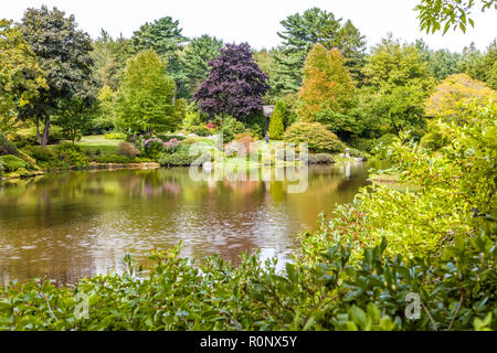 Azalea Asticou giardino nella zona nord-est di Porto sull'isola di Mount Desert nel Maine, Stati Uniti Foto Stock