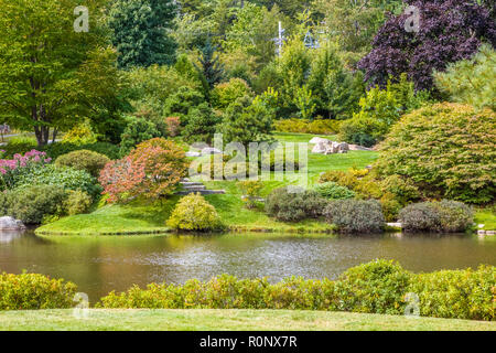 Azalea Asticou giardino nella zona nord-est di Porto sull'isola di Mount Desert nel Maine, Stati Uniti Foto Stock