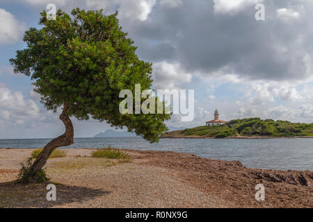 Lontano d'Alcanada, Maiorca, isole Baleari, Spagna, Europa Foto Stock