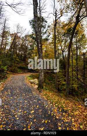 Autunno sul lago Minnewaska parco dello Stato di New York Foto Stock