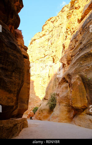 Petra, Madi Mousa, Regno Hascemita di Giordania Foto Stock