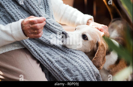 Una donna anziana con un cane seduti all'aperto su una terrazza in una giornata di sole in autunno. Foto Stock