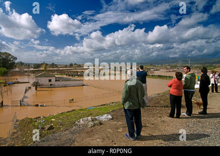 Le acque di esondazione del fiume Guadalquivir. Anno 2010. -La Isla- Andujar. Provincia di Jaen. Regione dell'Andalusia. Spagna. Europa Foto Stock