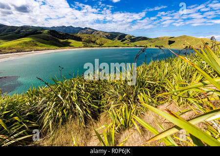 Jackson Bay alla Penisola di Coromandel, Nuova Zelanda Foto Stock