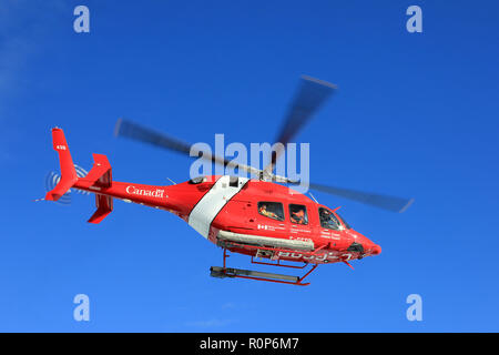 La Guardia Costiera canadese, Bell 429 elicottero assegnato all'CCGS Amundsen Foto Stock