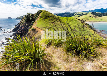 Jackson Bay alla Penisola di Coromandel, Nuova Zelanda Foto Stock